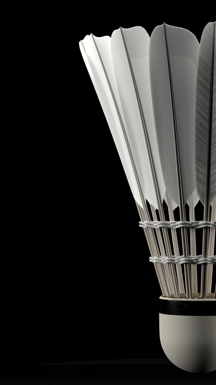 不仅增强了 不仅增强了