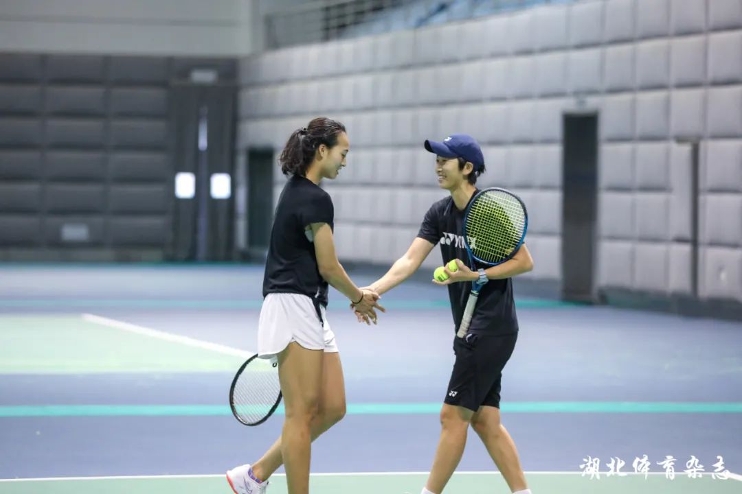 类似的传承 类似的传承