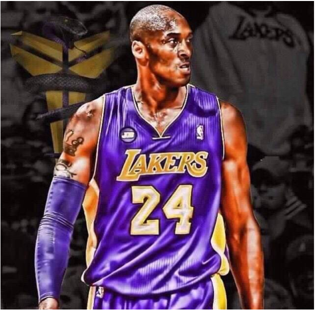 提供了一个 提供了一个