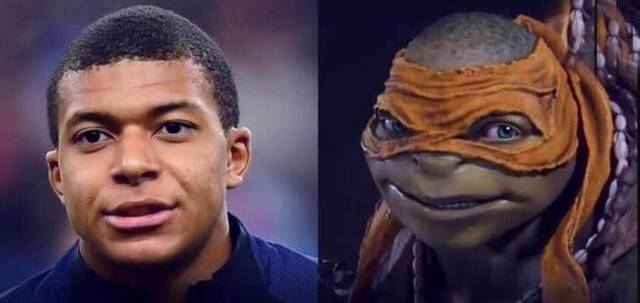 固定仪式 固定仪式